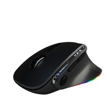 DOEL Wireless Ergonomic Fast Gaming Mouse 2.4G 1 USB 2 BT Connection RGB On/Off